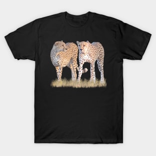 2 Cheetahs - Predator - Cats in Africa T-Shirt
